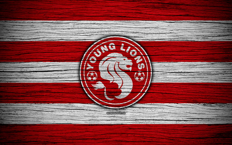 Young Lions FC